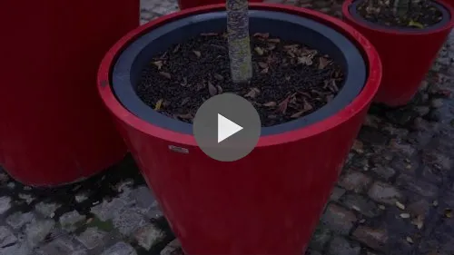 The red jars