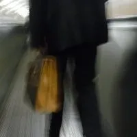 The man with the briefcase
