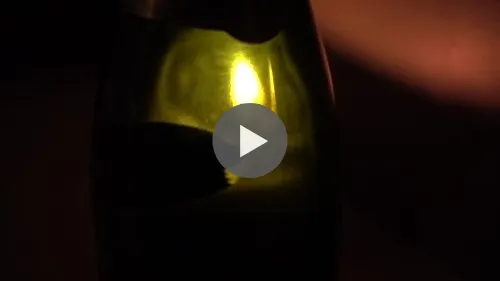 Luminous object