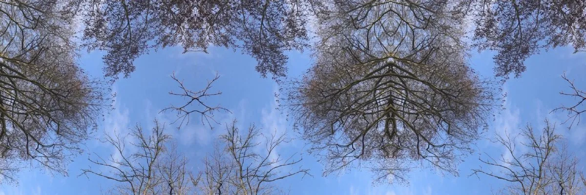 L'être et l'image