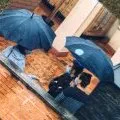 Parapluie