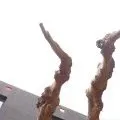 Opening