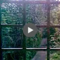 Remember here by the window