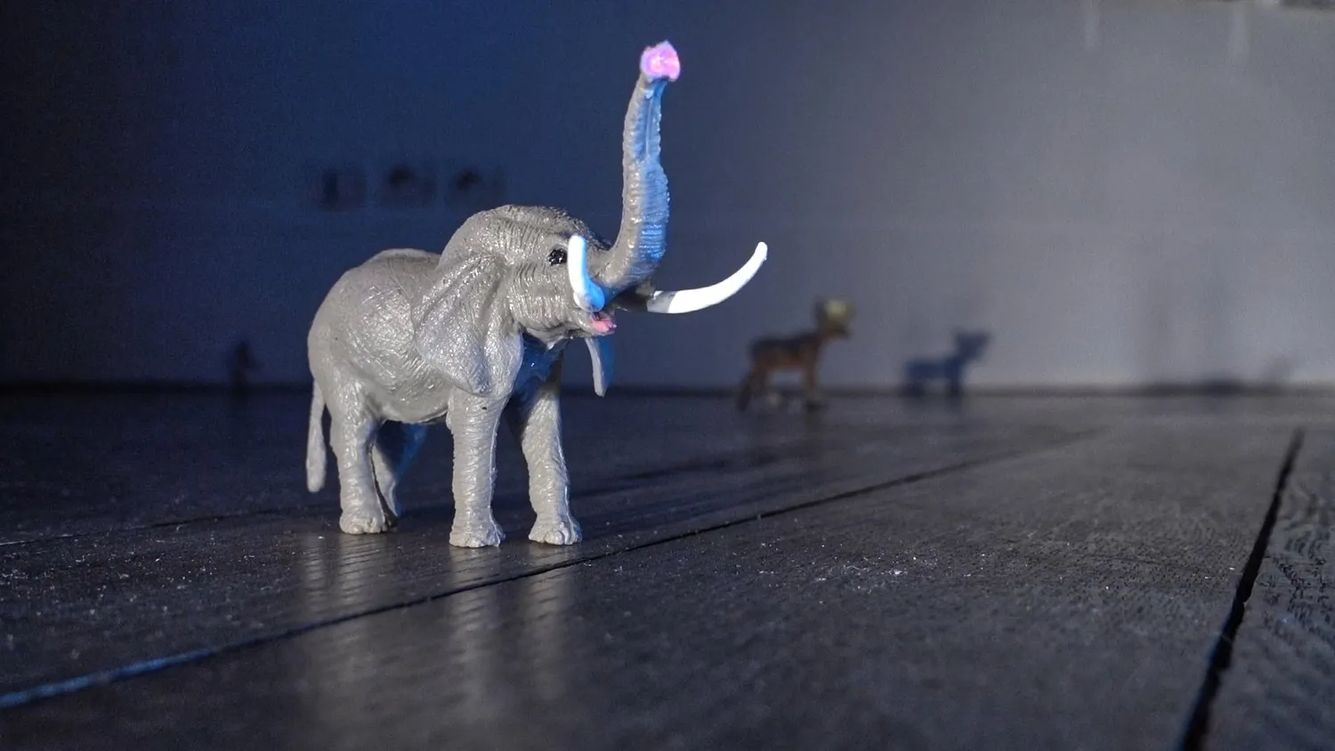 Eléphant © Benoît Labourdette.