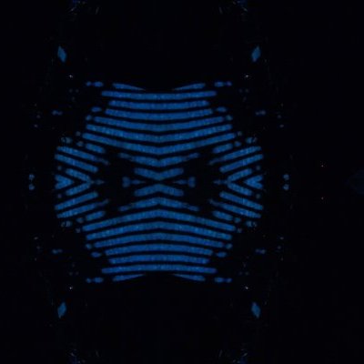 Insecte