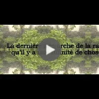 La raison (pensée 267)