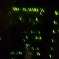 Vert