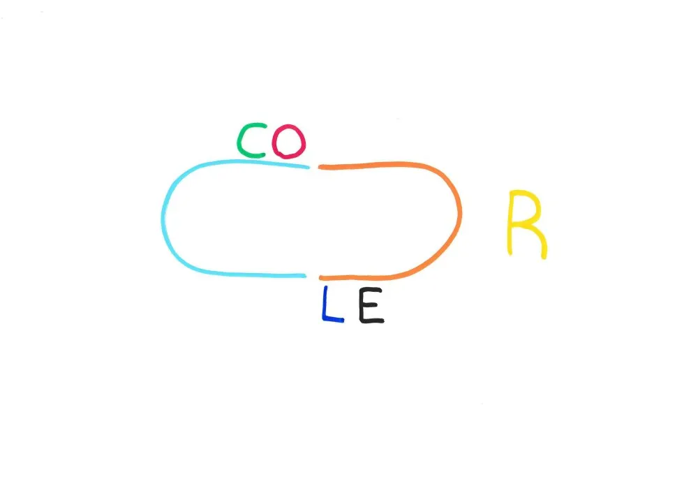Calligraphies #12 - 11 © Benoît Labourdette 2019.