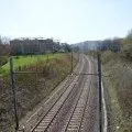 Abattoir