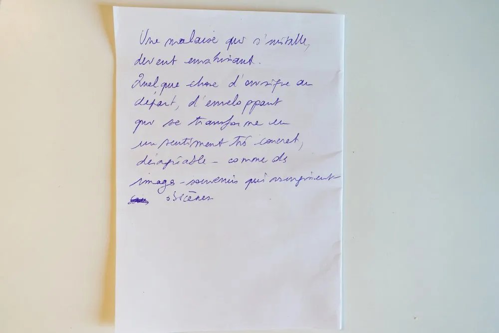 Université Montpellier 3 : « Je ne le savais pas, mais je suis ma caméra » - 9 © Benoît Labourdette 2017.