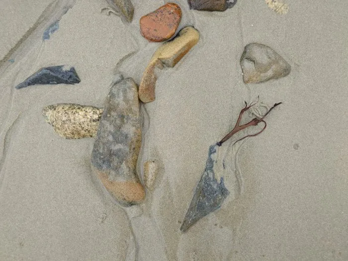 Seaweed and its stone - 32 © Benoît Labourdette 2024.