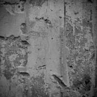 Grain © Benoît Labourdette.