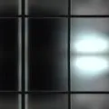 Law
