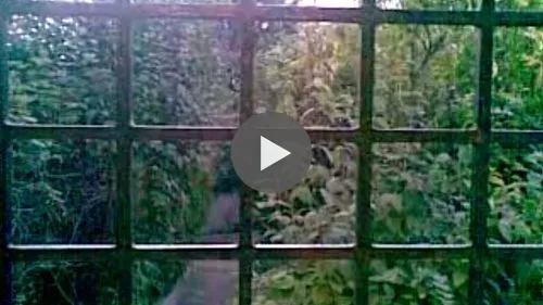 Remember here by the window