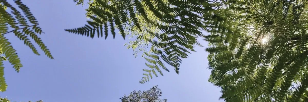 L'importance de la nature dans un scénario