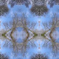 L'être et l'image