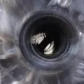 Loupe