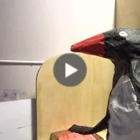 Voir ou être vu