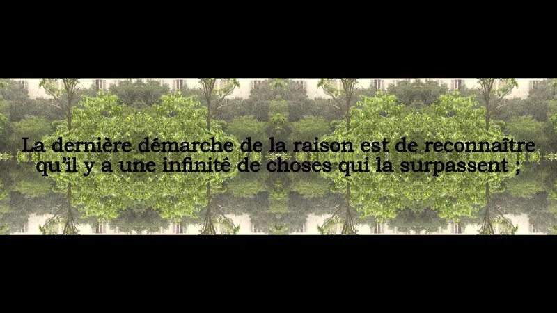 La raison (pensée 267)