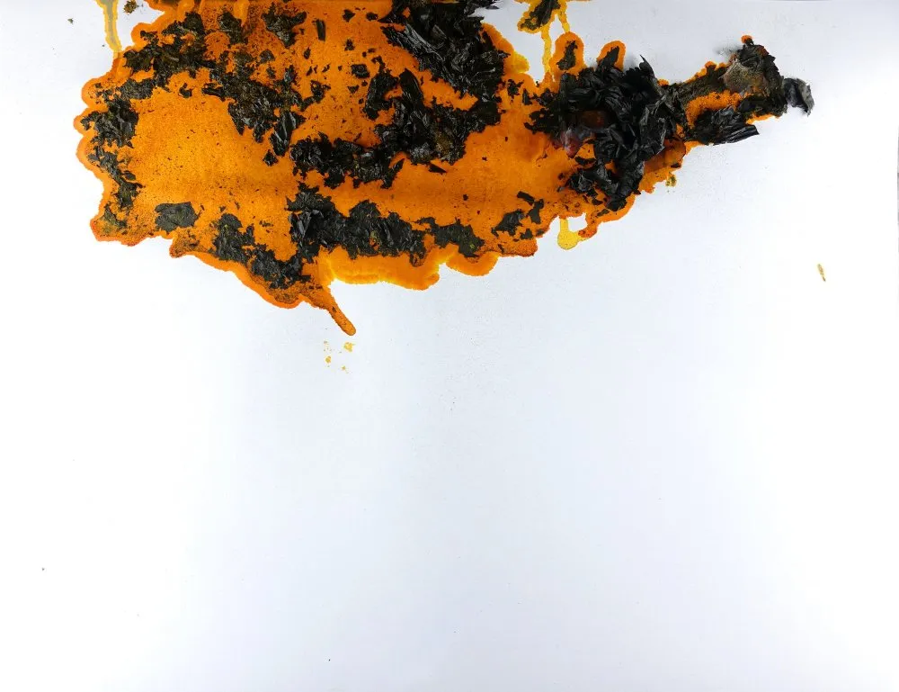 Cyan Magenta Jaune Noir - 12 © Benoît Labourdette 2018.