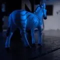 Zèbre