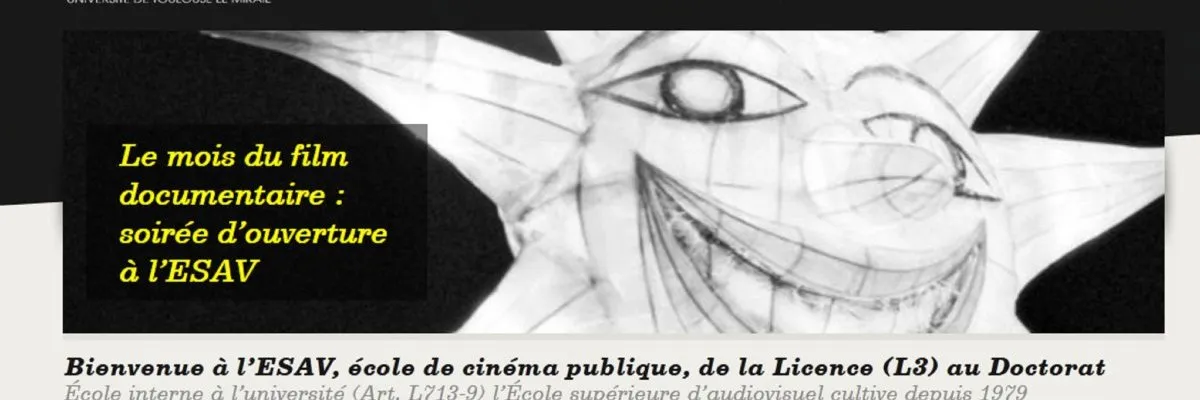 www.esav.fr website