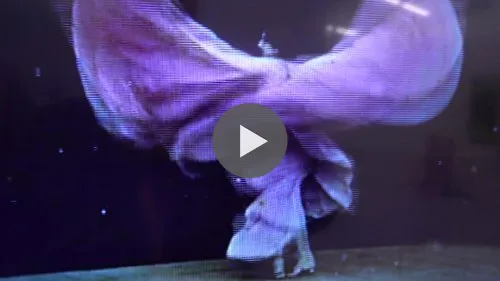 Dancer : Loïe Fuller