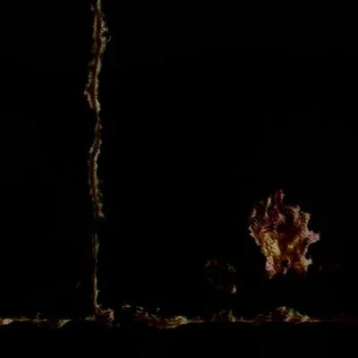 Les cicatrices de la terre