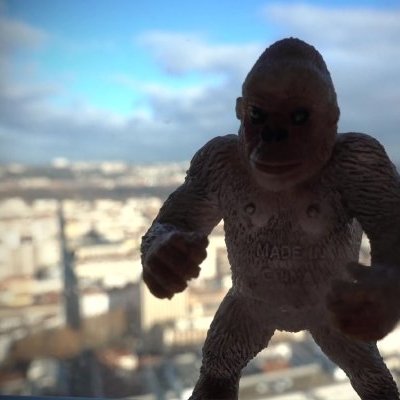 Lyon