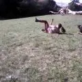 Chute