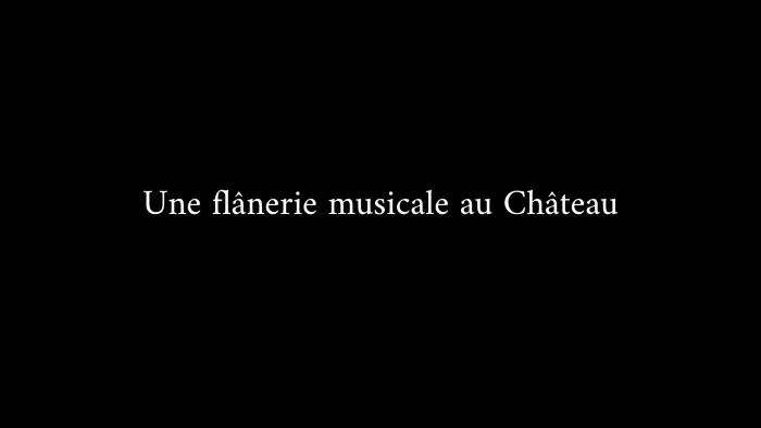 Une flânerie musicale au château - 3. © Benoît Labourdette.