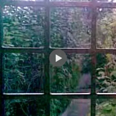 Remember here by the window