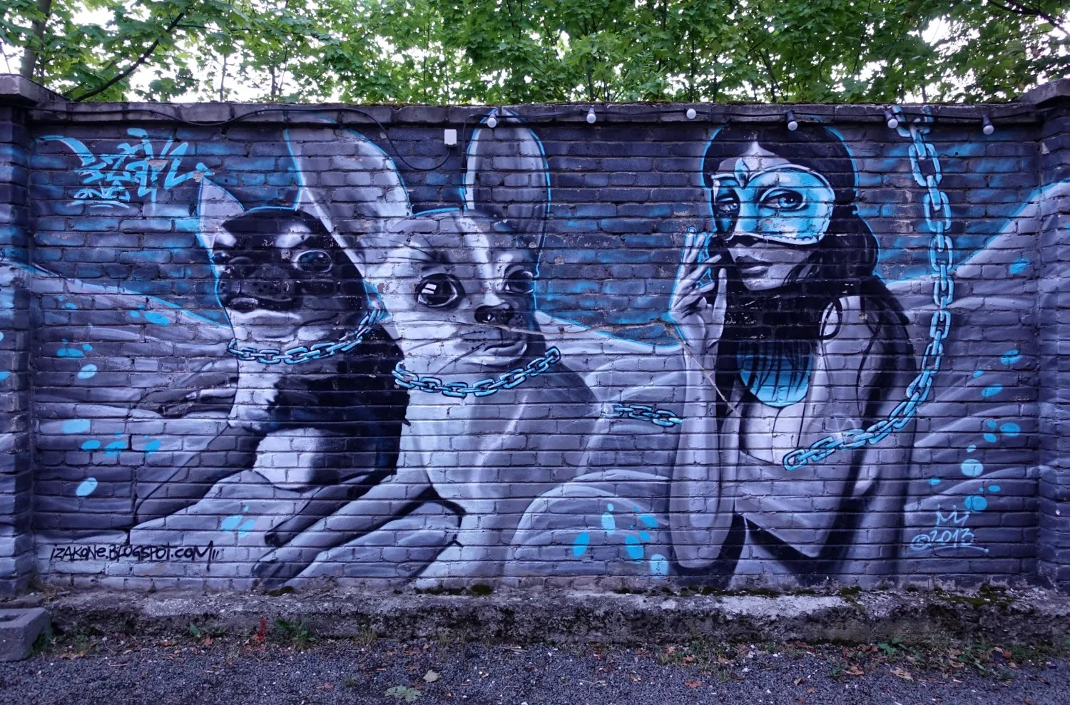 Chien © Benoît Labourdette.