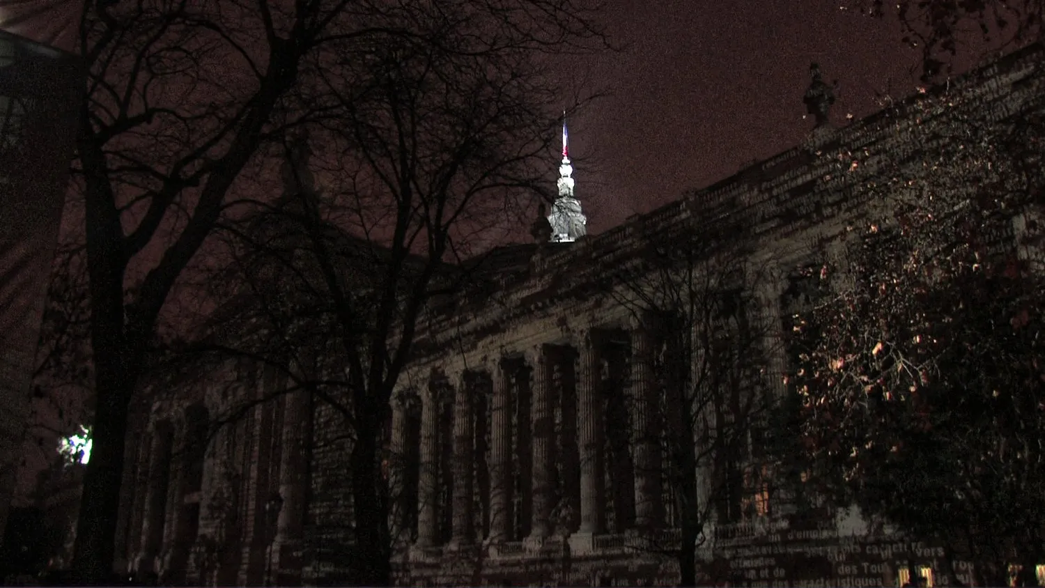 Grand Palais © Benoît Labourdette.
