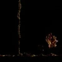 Les cicatrices de la terre