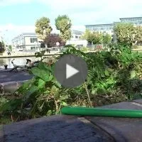La vie insolite et obsessionnelle de l'adolescent