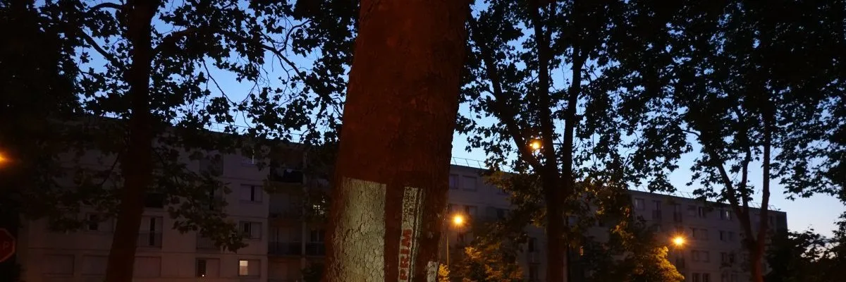 Trouver l'inspiration dans les décors 