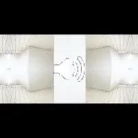 46