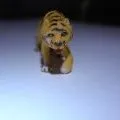 Animal