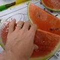 Fruits
