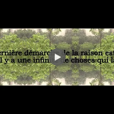 La raison (pensée 267)