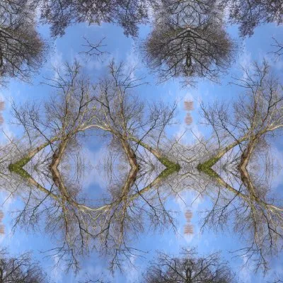 L'être et l'image