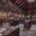 Bibliocité