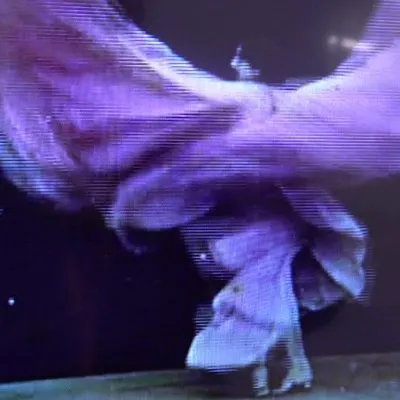Danseuse : Loïe Fuller