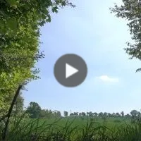 Trouée