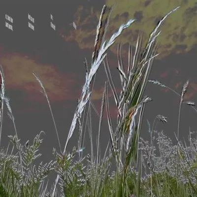 La vraie nature (pensée 426)