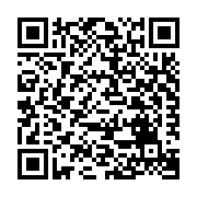 qrcode:https://www.benoitlabourdette.com/creations-artistiques/photographie/fuite-des-branches